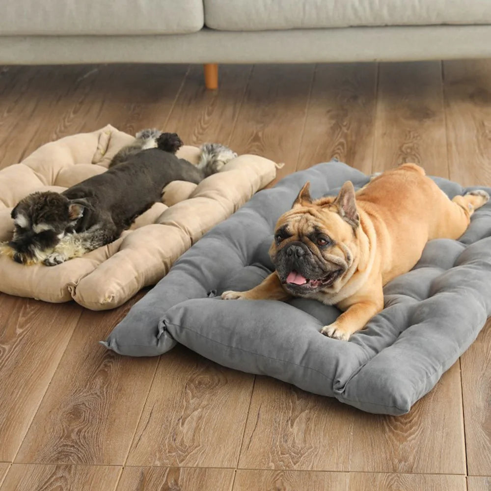 DreamPaw™- coussin pour chien