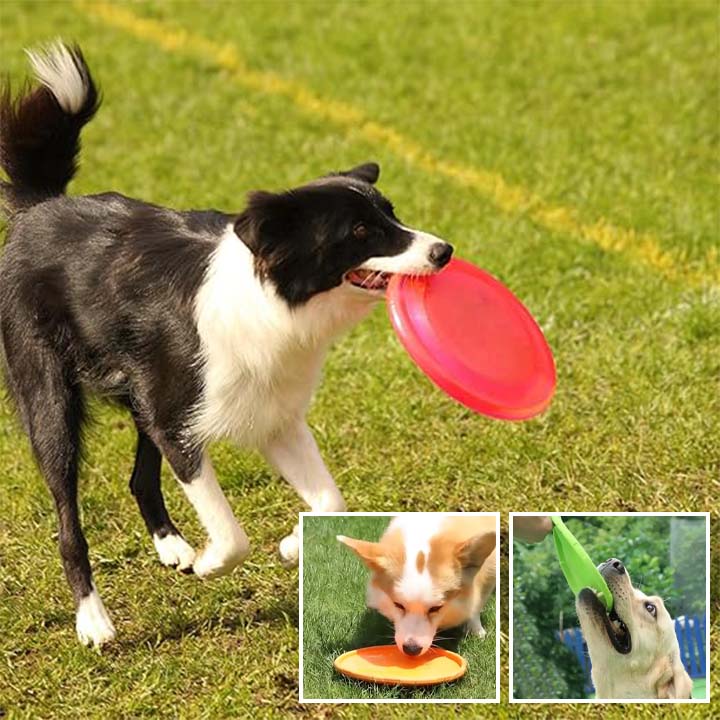 FlyPaw™-Le Frisbee pour Chiens Actifs