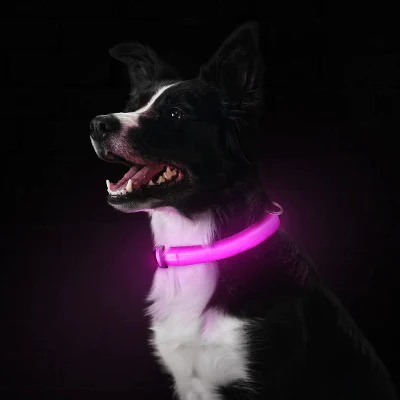 FunCollar ™-Collier lumineux chien