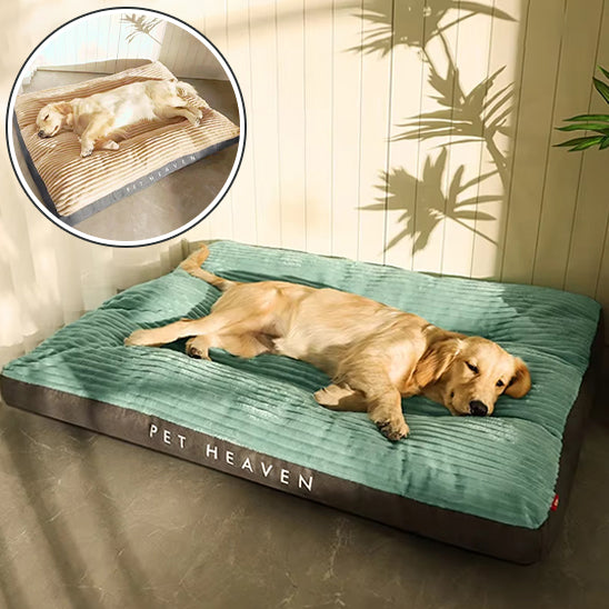 VelvetCushion™ - Le coussin confort de votre chien