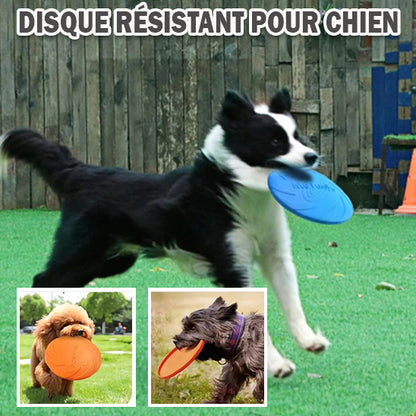 FlyPaw™-Le Frisbee pour Chiens Actifs