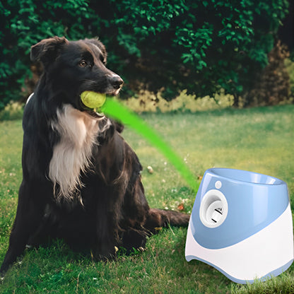 BallBuddy™ : Le Lanceur de Balles Automatique Révolutionnaire pour Chiens