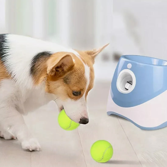 BallBuddy™ : Le Lanceur de Balles Automatique Révolutionnaire pour Chiens