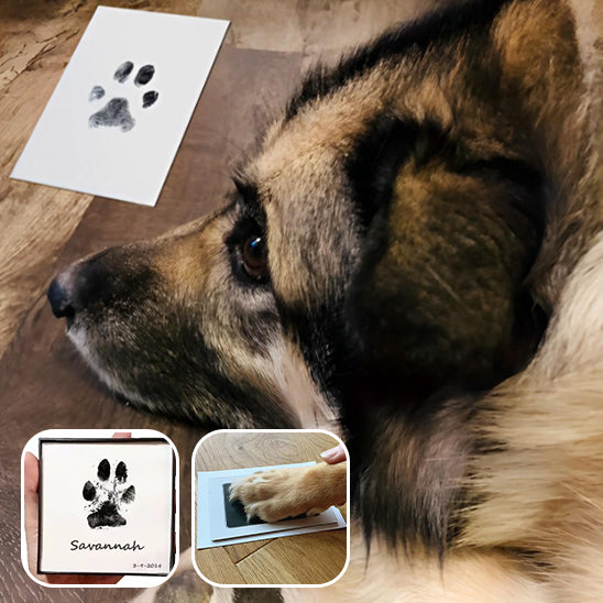 PrintMyPaw™ Kit Empreinte Chien