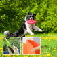 FlyPaw™-Le Frisbee pour Chiens Actifs