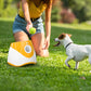 BallBuddy™ : Le Lanceur de Balles Automatique Révolutionnaire pour Chiens