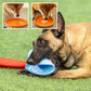 FlyPaw™-Le Frisbee pour Chiens Actifs