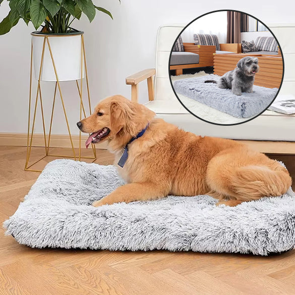 DreamMat™ : Le tapis pour chien qui offre un sommeil réparateur