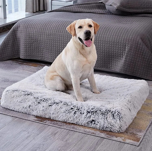 DreamMat™ : Le tapis pour chien qui offre un sommeil réparateur