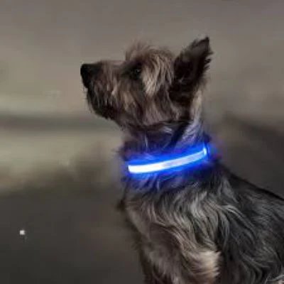 Collier lumineux chien-FunCollar ™ - mon amour de chien