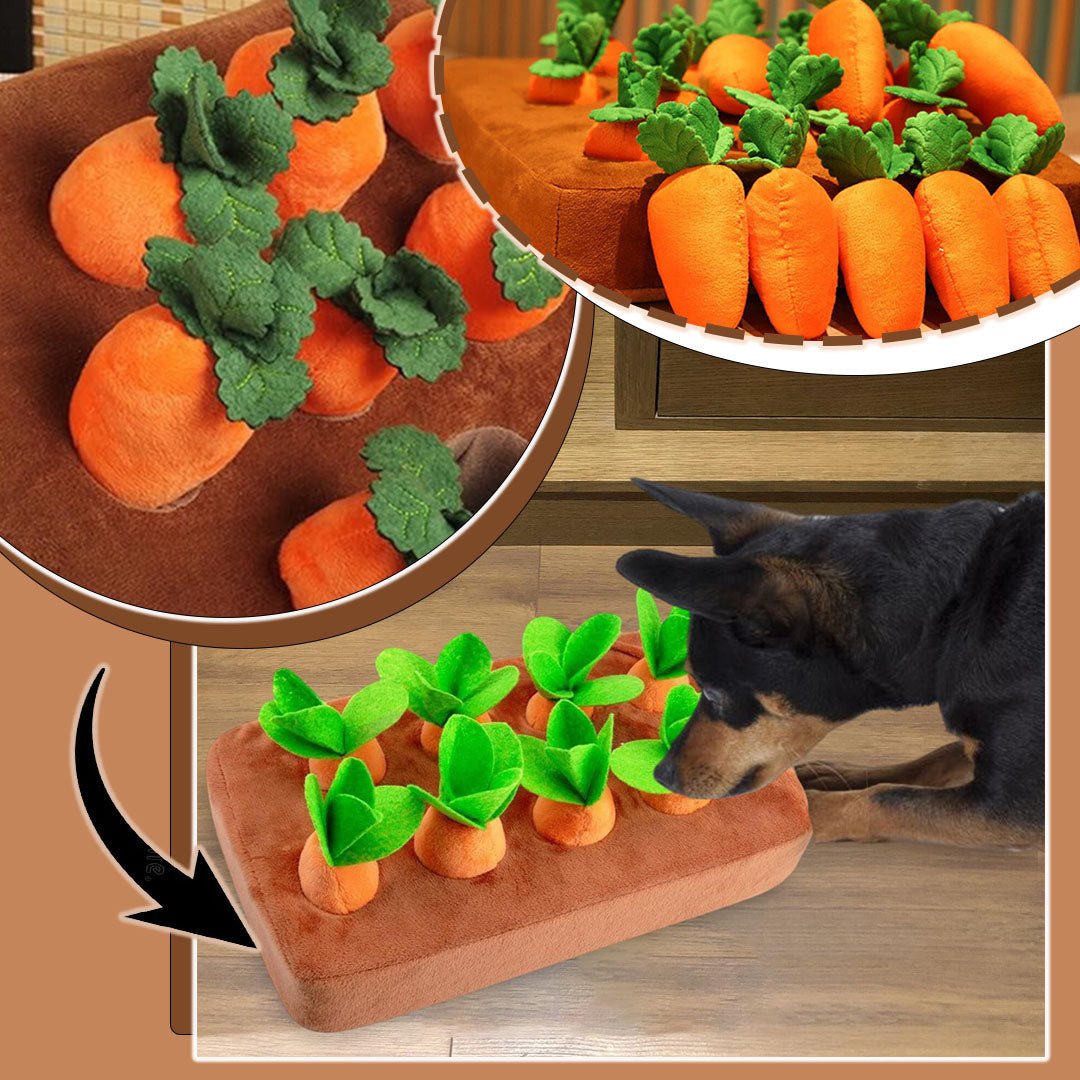 Jouet renifleur pour chien- CarrotSniff™ - mon amour de chien